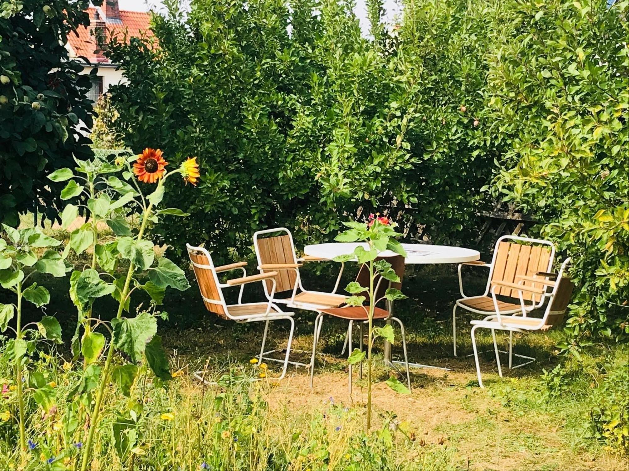 Casa Marcu Wohnung 1 Og Landkirchen 외부 사진